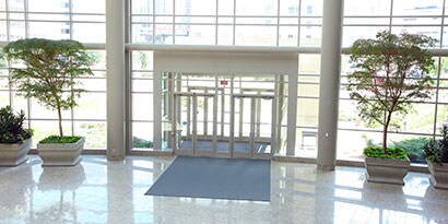 Imagen del interior de la instalación escolar con paredes de cristal y árboles en el salón a ambos lados de la puerta.
