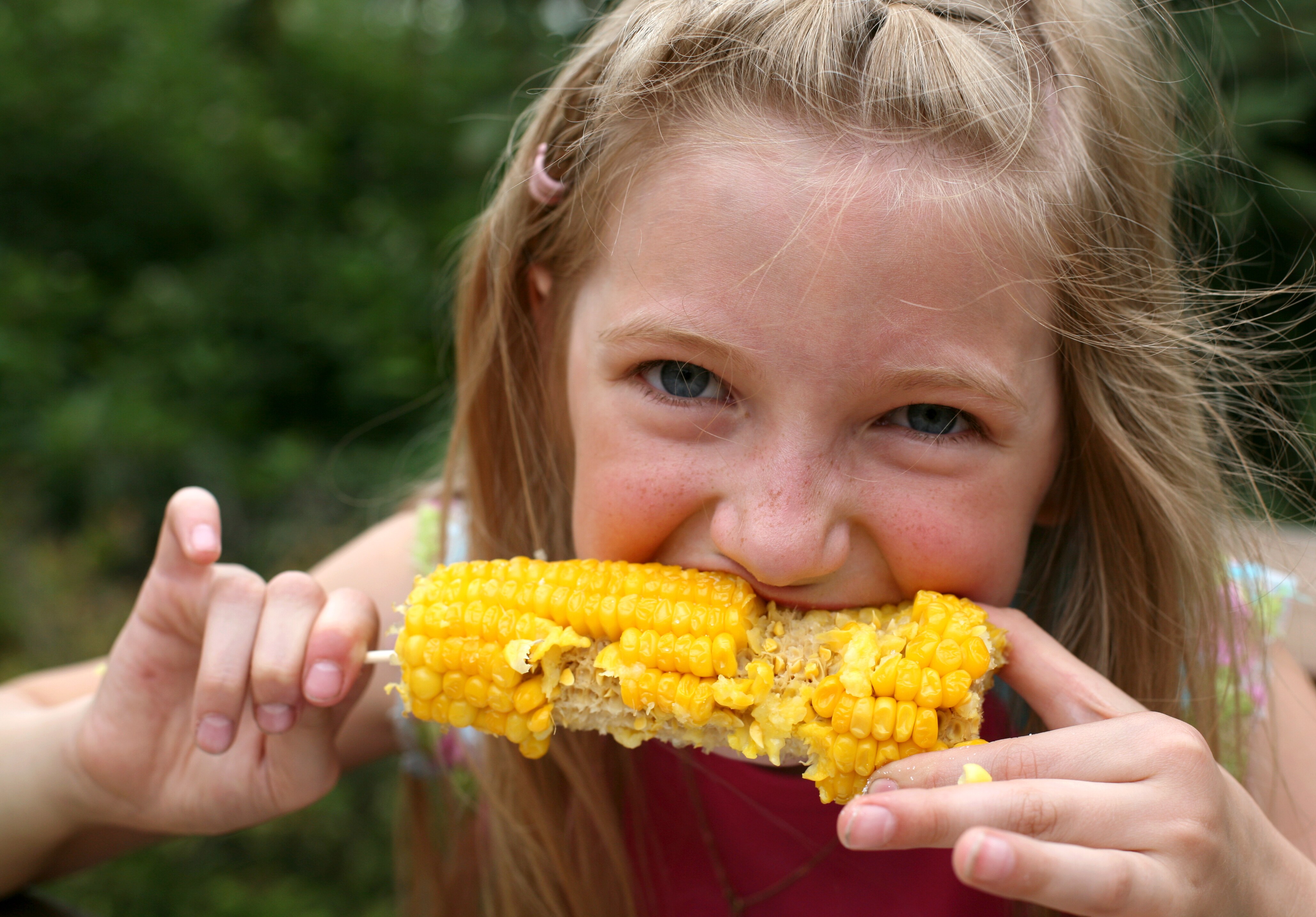 Niña comiendo maíz
