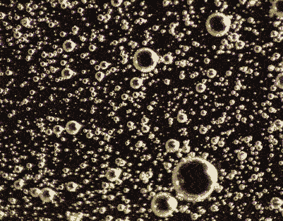 microscopic adhesive 