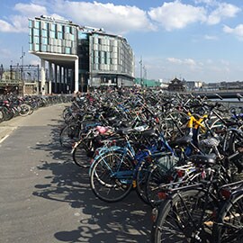 Dozens of bicycles parked on the sides of a path, with a dramatic modern building in the background.